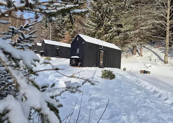 Sosnowy Szept Holiday home